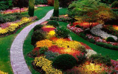 Best villa landscaping in marina