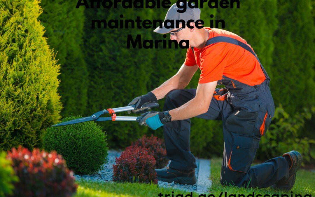 Affordable garden maintenance in Marina