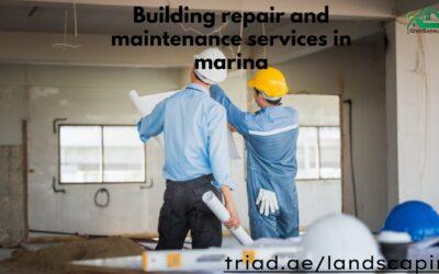 Building repair and maintenance services in marina