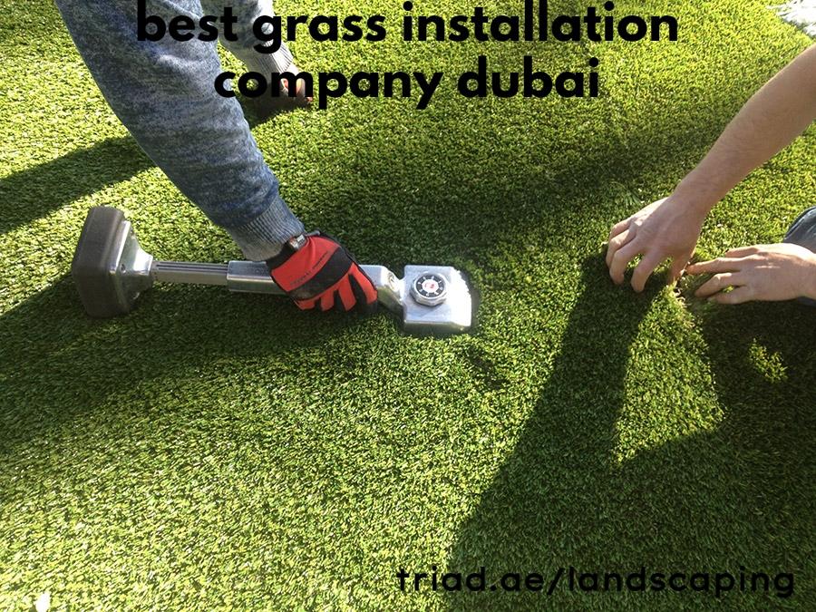 best grass installation company dubai